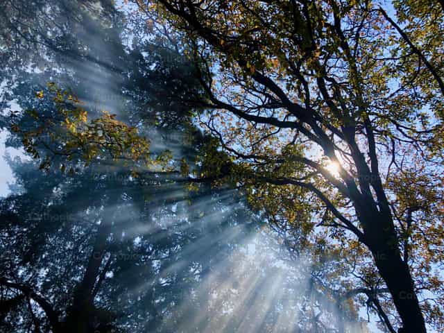 El sol que nace de lo alto - Banco de imágenes católicas - Fotografía por Pablo Meza