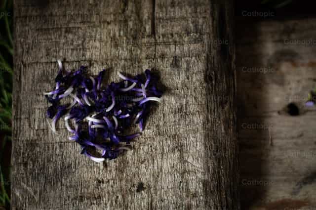 Corazón de flores - Banco de imágenes católicas - Fotografía por Carolina BR