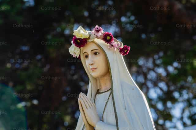 Virgen de Fatima - Banco de imágenes católicas