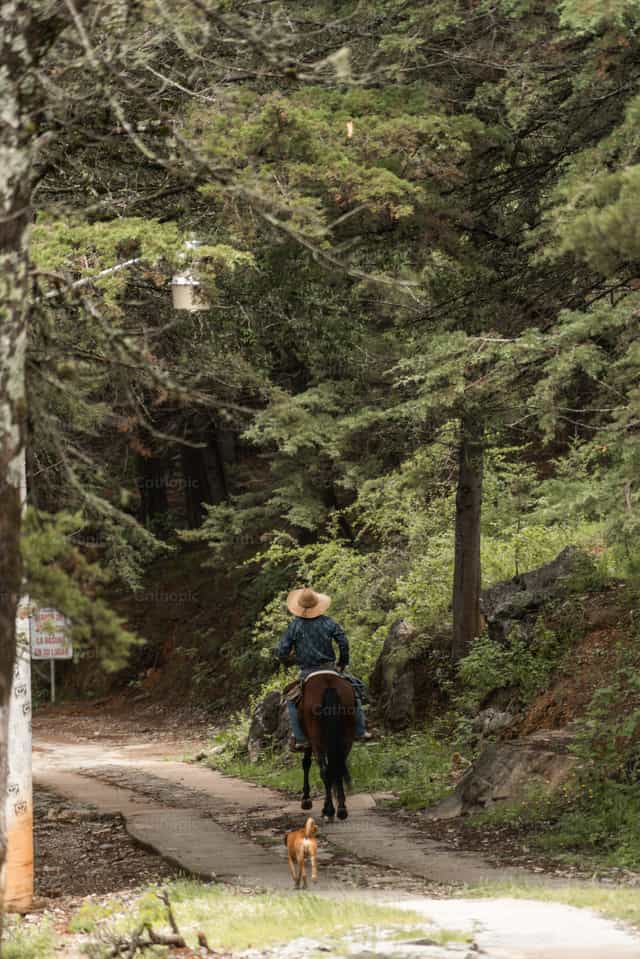 Équitation - Images catholiques de stock