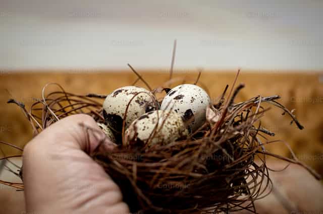 Mga Itlog ng Pasko ng Pagkabuhay - Mga Catholic stock image - Larawan ni Carolina BR