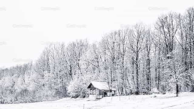 Snow landscape - Catholic stock images - Photo by Jakov Pleše