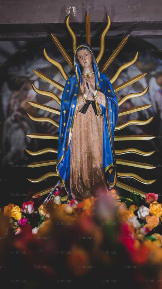 Santa María de Guadalupe - Banco de imágenes católicas