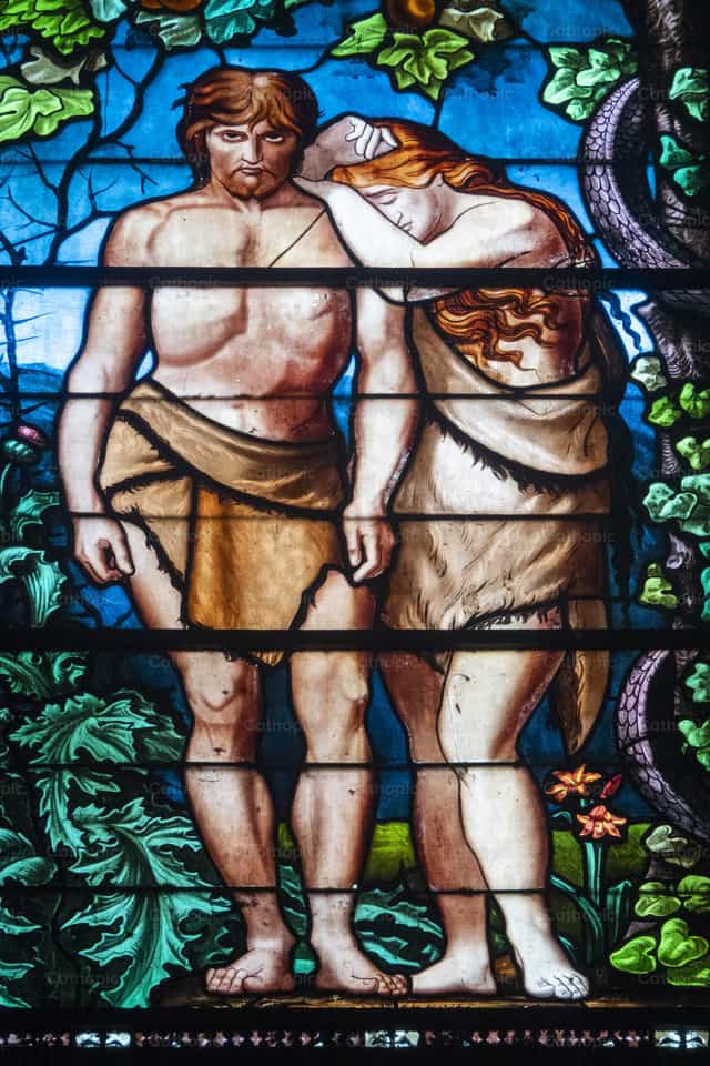 Ventana de vidriera que representa a Adán y Eva - Banco de imágenes católicas - Fotografía por Joan Sutter