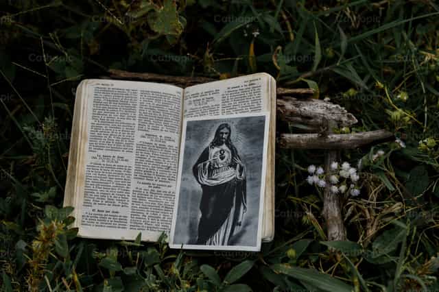 Elementen van het gebed - Katholieke stockfoto's - Foto door Carolina BR