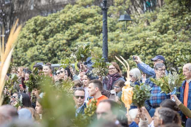Personas con palmas y olivos en Domingo de Ramos - Banco de imágenes católicas - Fotografía por Yandry Fernández Perdomo