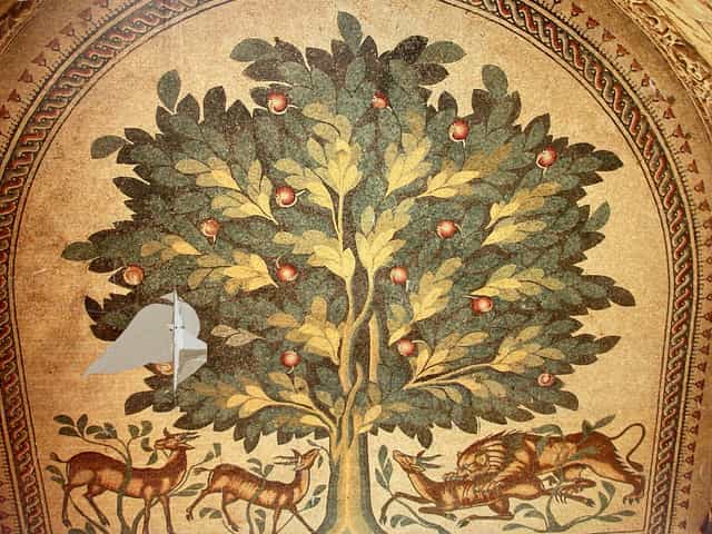El arbol de la vida - Banco de imágenes católicas