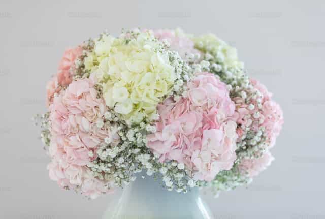 Ramo suave de hortensias rosas y blancas con paniculata - Banco de imágenes católicas - Fotografía por Antonio Gravante