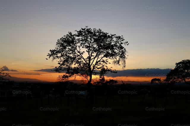 Am Abend des Lebens - Katholische Stockfotos
