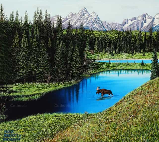 Łosie z Grand Teton - Katolickie zdjęcia stockowe - Zdjęcie: Mike Bennett