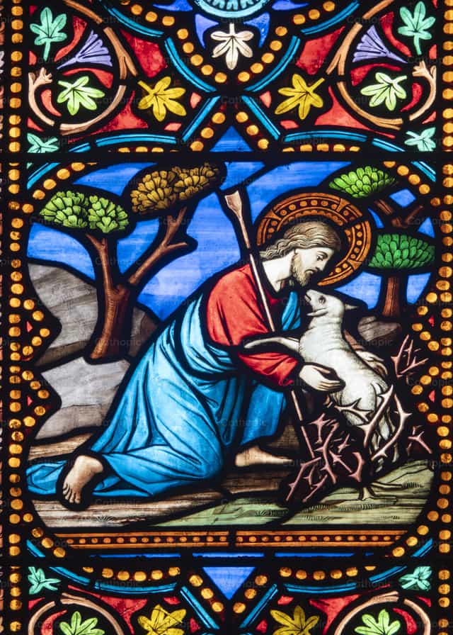 Ventana de vidrieras que representa a Jesús y un cordero - Banco de imágenes católicas - Fotografía por Joan Sutter