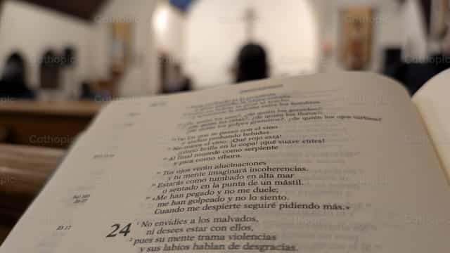 Bible - Catholic stock images