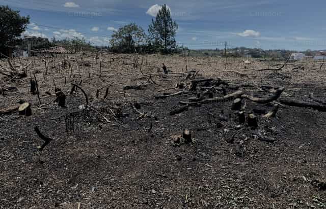Destruição - Imagens católicas de stock - Foto de Carolina BR