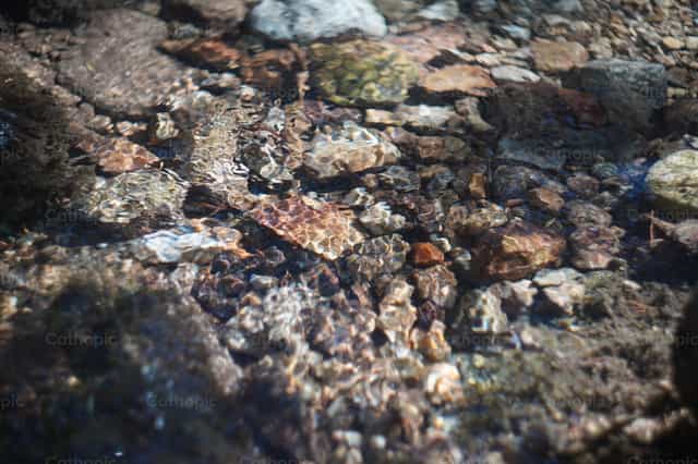 Rio y rocas - Banco de imágenes católicas - Fotografía por Lupe Belmonte