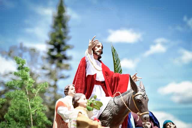 Jesus sobre un pollino - Banco de imágenes católicas