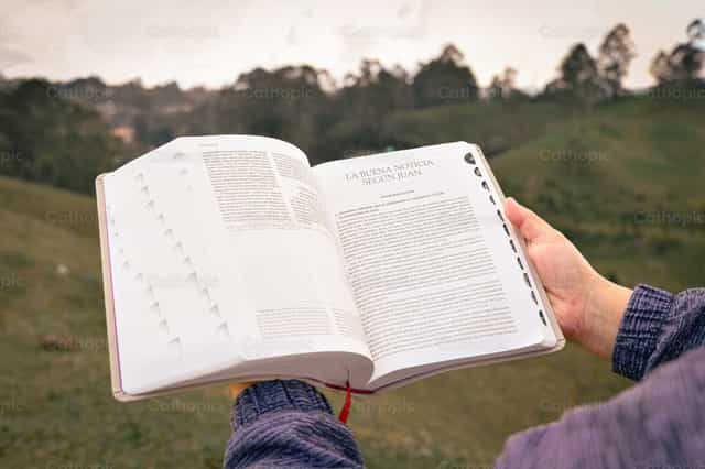 Mit der Bibel beten - Katholische Stockfotos - Foto von Carolina BR