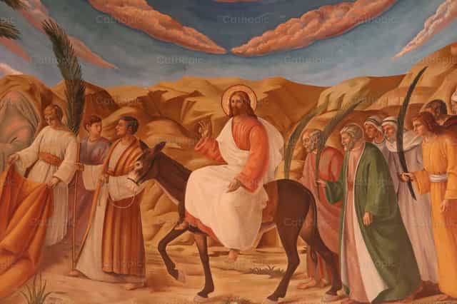Entrada de Jesús - Banco de imágenes católicas - Fotografía por María José Ortega