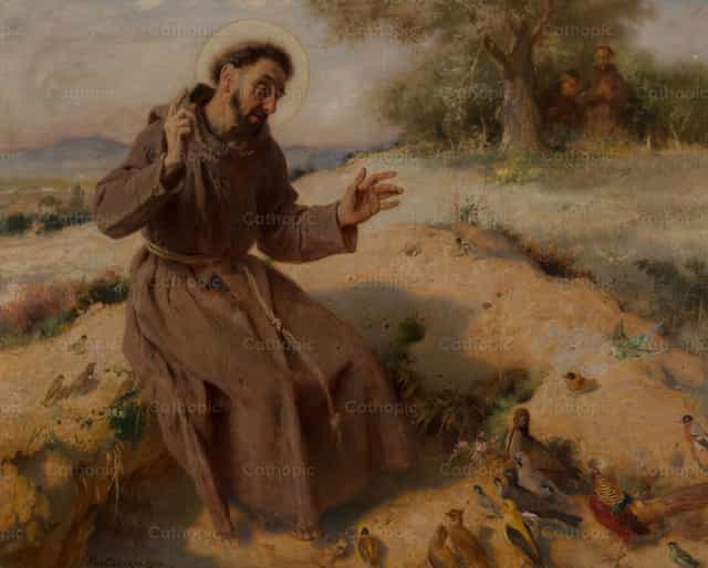 Saint François prêchant aux oiseaux - Images catholiques de stock