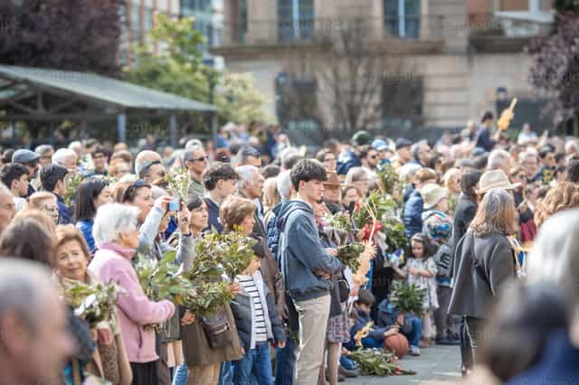 Domingo de Ramos en España - Banco de imágenes católicas - Fotografía por Yandry Fernández Perdomo