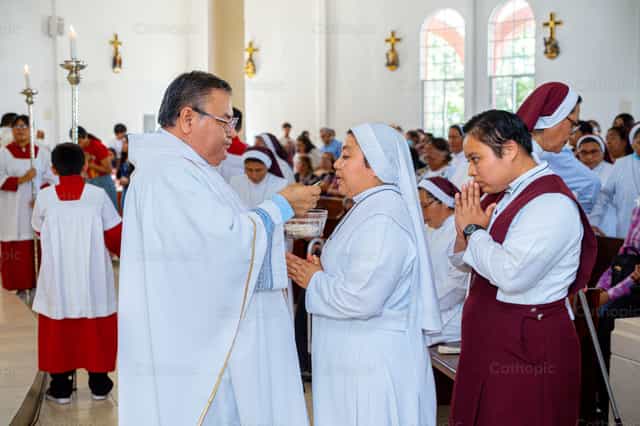 Comunión - Banco de imágenes católicas - Fotografía por Hein Palma