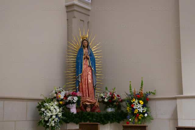 Nuestra Señora de Guadalupe - Banco de imágenes católicas