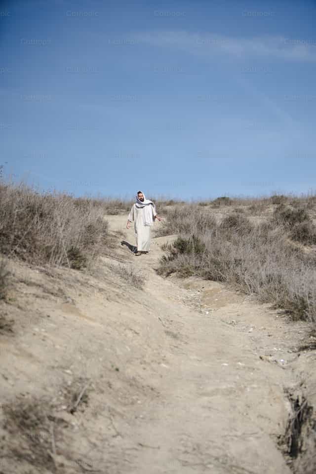 Jesús en el desierto - Banco de imágenes católicas