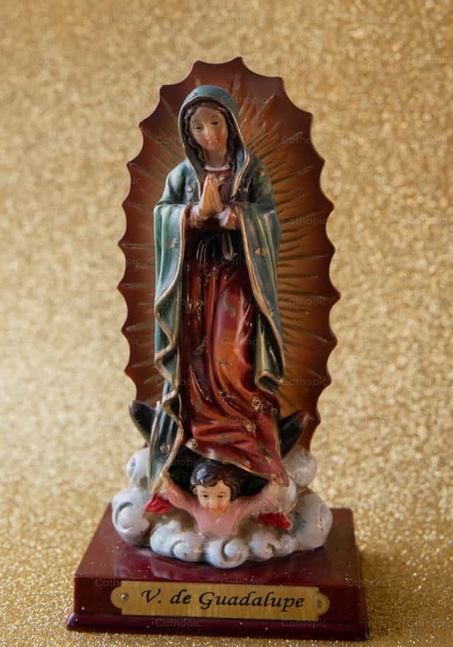 Our Lady of Guadalupe - Catholic stock images - Photo by Carolina BR