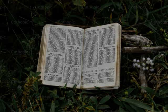 Pequeña Biblia y Cruz - Banco de imágenes católicas - Fotografía por Carolina BR