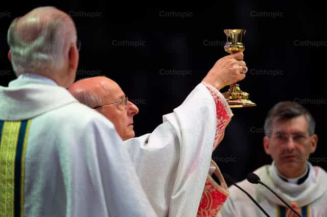 Monsenor Fernando Ocariz - Banco de imágenes católicas - Fotografía por Álvaro García