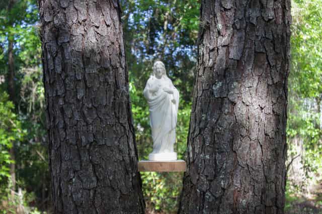 Jesus na natureza - Imagens católicas de stock