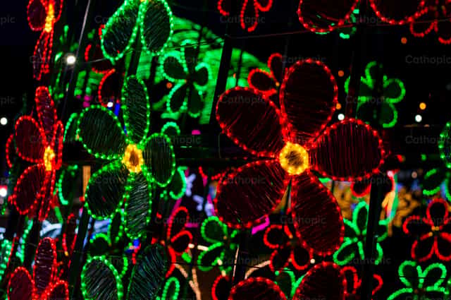Flores de Navidad - Banco de imágenes católicas