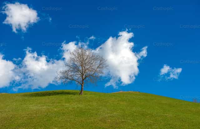 Colina con árbol y cielo con nubes - Banco de imágenes católicas - Fotografía por Pierluigi Palazzi