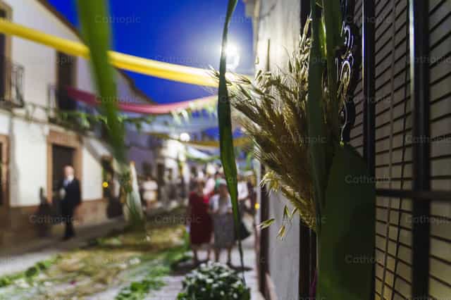 Ears of Wheat in the Window: Tradition and Devotion - Catholic stock images - Photo by Diócesis de Córdoba