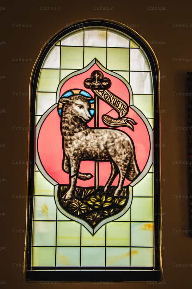 Cordero de Dios - Banco de imágenes católicas