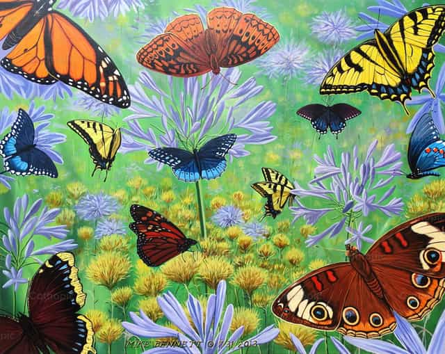 Butterfly Bonanza - Mga Catholic stock image