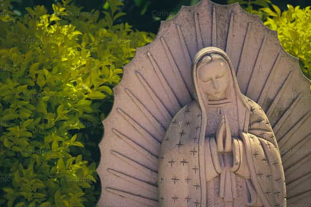 Our Lady of Guadalupe - Catholic stock images