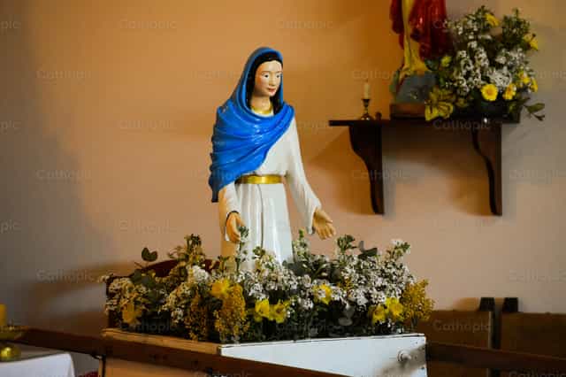 Nuestra Señora de la Caridad - Banco de imágenes católicas - Fotografía por deBuenafe diario digital