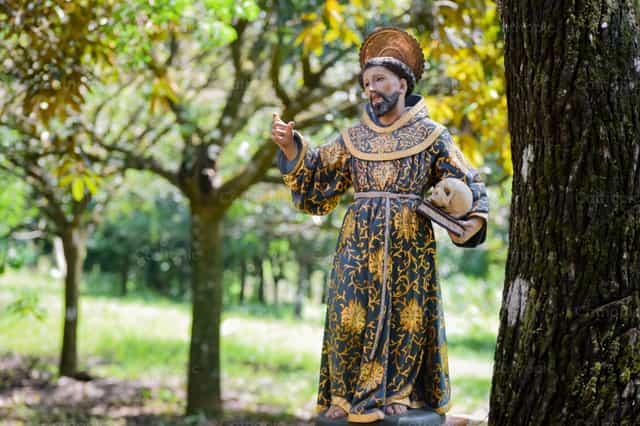 São Francisco de Assis - Imagens católicas de stock