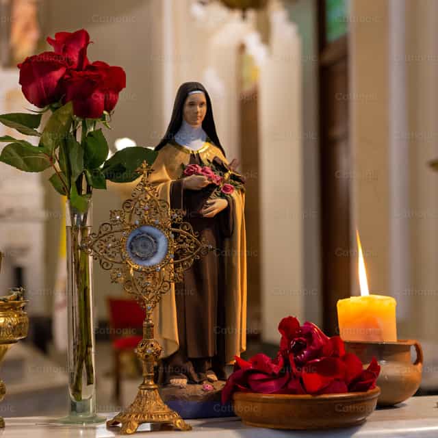 Santa Teresa de Lisieux - Banco de imágenes católicas