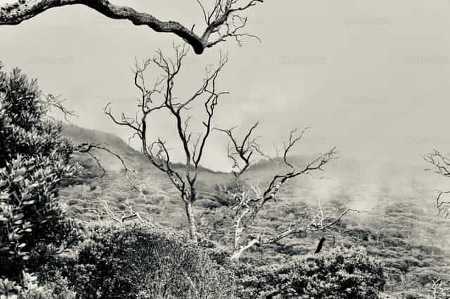 Loneliness - Catholic stock images - Photo by Pablo Meza