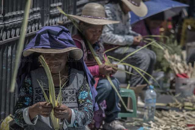 Domingo de Ramos - Imagens católicas de stock - Foto de Andrea Marquina