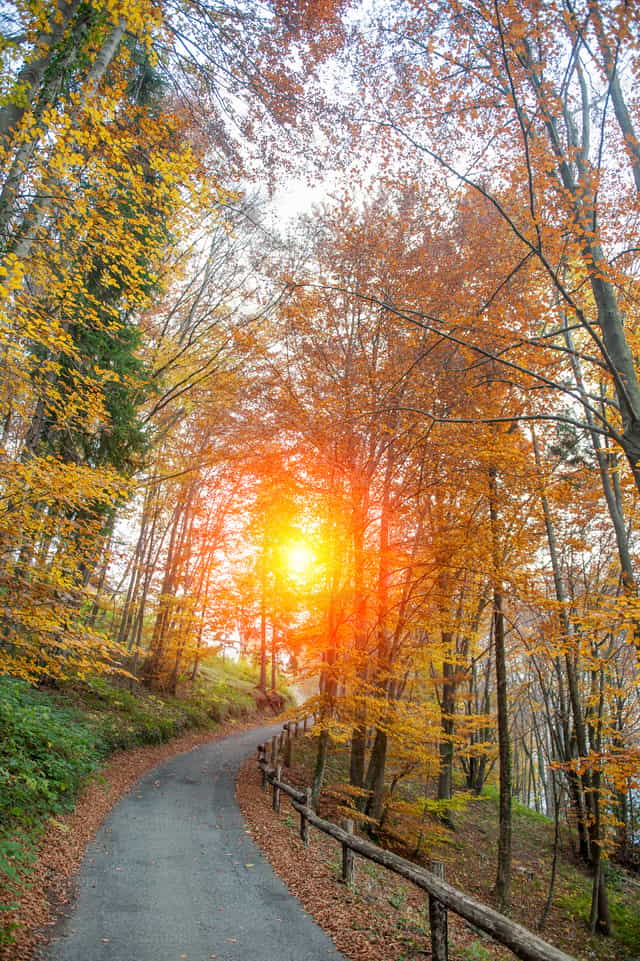 Estrada rural com o pôr do sol - Imagens católicas de stock - Foto de Pierluigi Palazzi