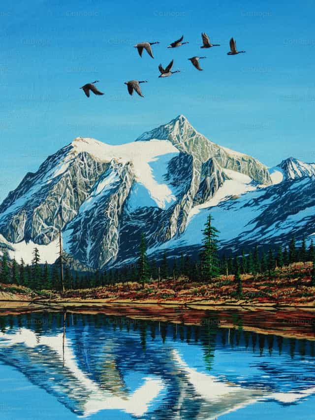 Shuksan-hegy és kanadai lilik - Katolikus stockképek - Fotó: Mike Bennett