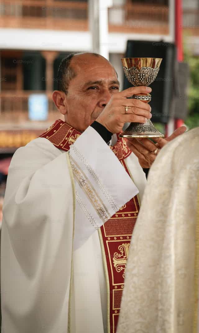 Chalice - Catholic stock images - Photo by Carolina BR