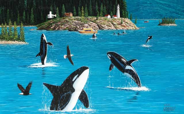Aguilas y Orcas - Banco de imágenes católicas