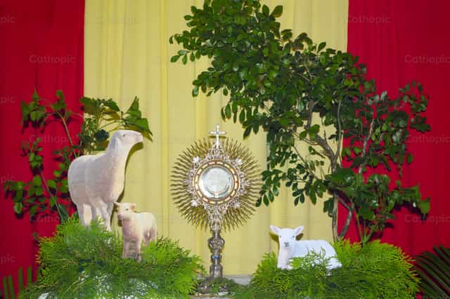 Jesus Lamb of God - Catholic stock images - Photo by Nayarb Photography