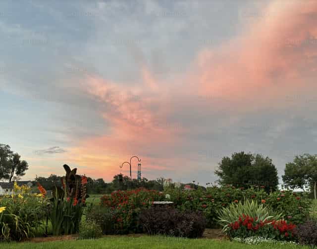 Flower garden at Sunset - Catholic stock images - Photo by Cheryl Albright