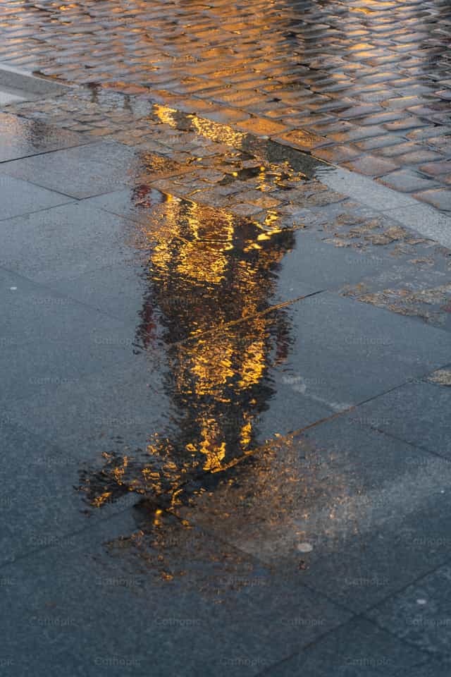 Reflejo luces de navidad - Banco de imágenes católicas - Fotografía por Lupe Belmonte