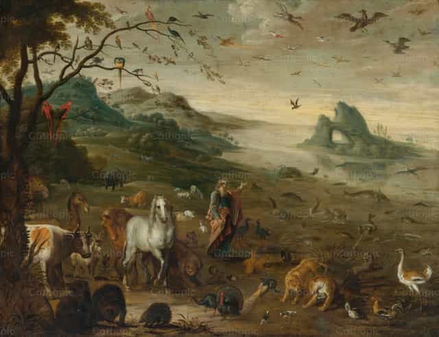 Deus criando os animais do mundo - Imagens católicas de stock