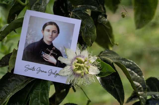 Polaroid / Gema Galgani - Mga Catholic stock image - Larawan ni Carolina BR